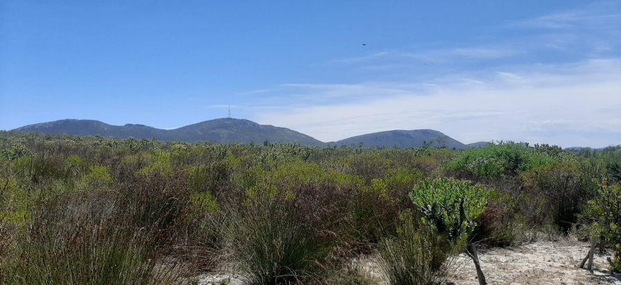 To Let 2 Bedroom Property for Rent in Albertinia Western Cape
